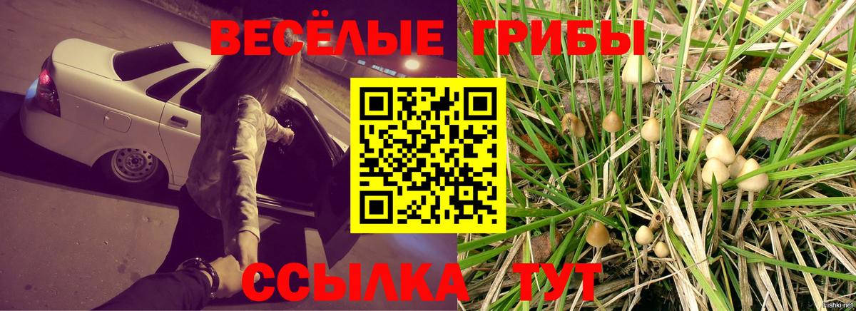 Псилоцибиновые грибы Magic Shrooms Озёры