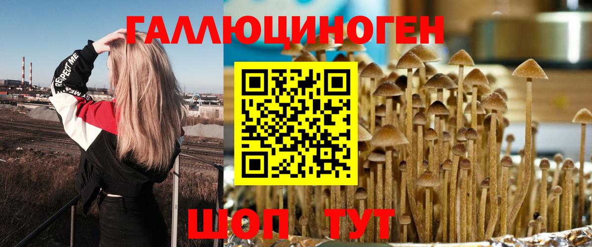 Озёры  Псилоцибиновые грибы Psilocybine cubensis  хочу   Вход с VPN 
